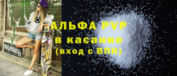 прущий лед Богданович