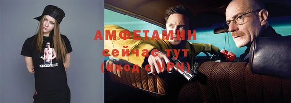 прущий лед Богданович