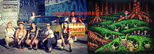 гашиш Богородицк