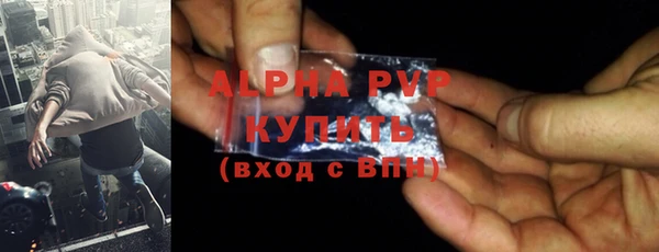 прущий лед Богданович