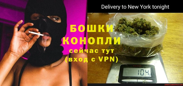 молекула духа Богородск